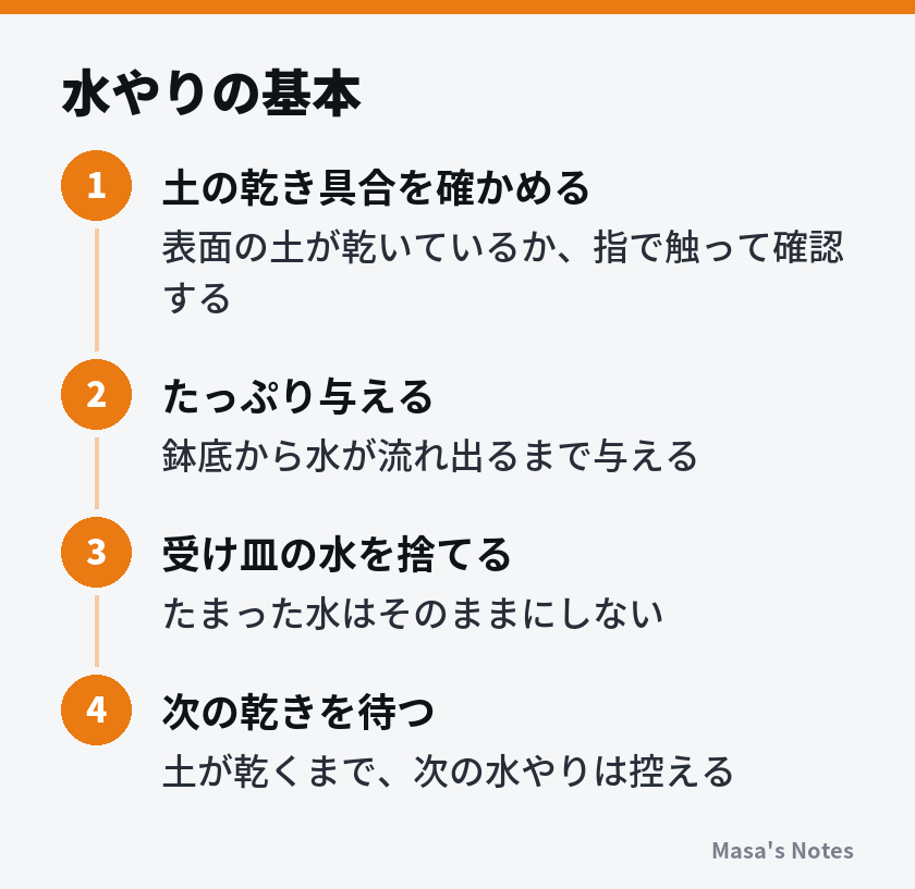 水やりの基本（1. 土の乾き具合を確かめる、2. たっぷり与える、3. 受け皿の水を捨てる、4. 次の乾きを待つ）