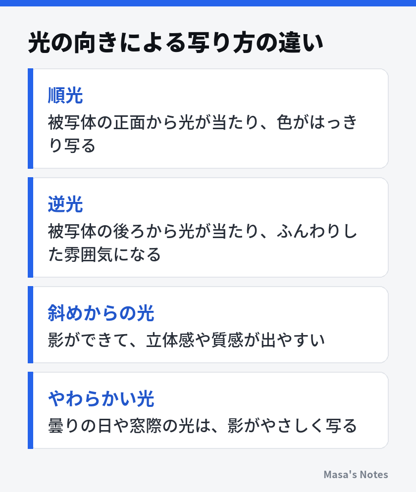 光の向きによる写り方の違い(順光、逆光、斜めからの光、やわらかい光)